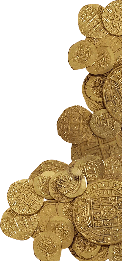 Image of Pirate Coins